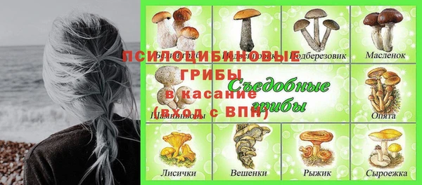 гидропоника Алексеевка