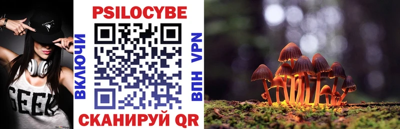 Псилоцибиновые грибы Psilocybe МЕГА сайт Заинск где можно купить наркотик