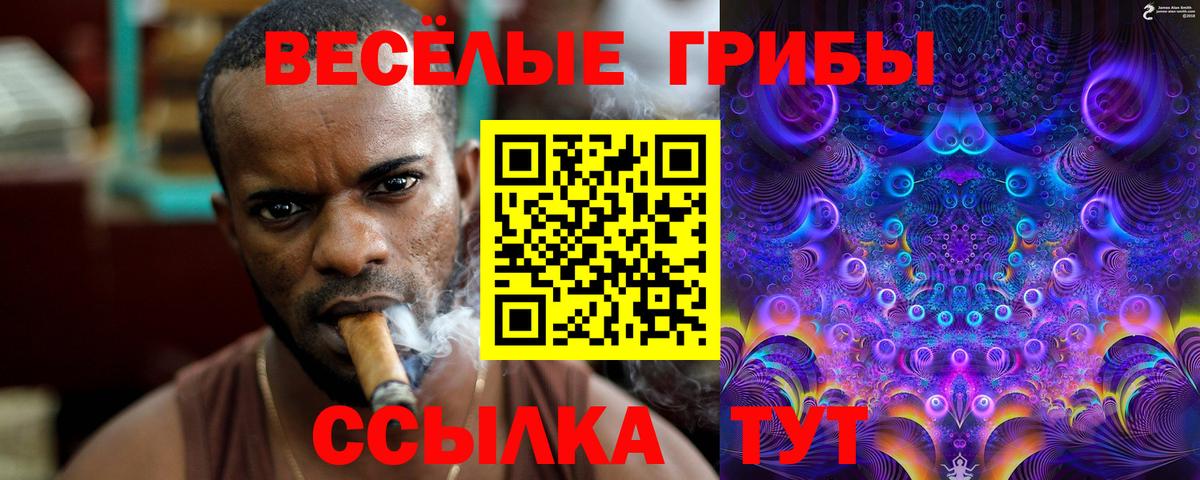 Псилоцибиновые грибы MAGIC MUSHROOMS  Галлюциногенные грибы ЛСД  Вход с VPN  Заинск 
